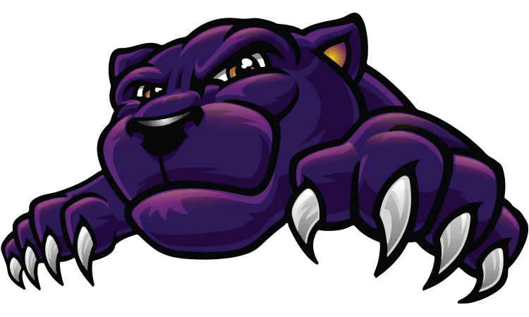 Panther Mascot